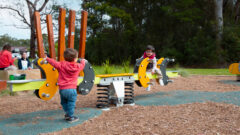 Joe Hyam Reserve, North Nowra by CRS Creative Recreation Solutions